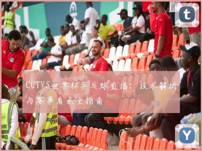 CCTV5世界杯乒乓球直播：技术解析与赛事看点全指南