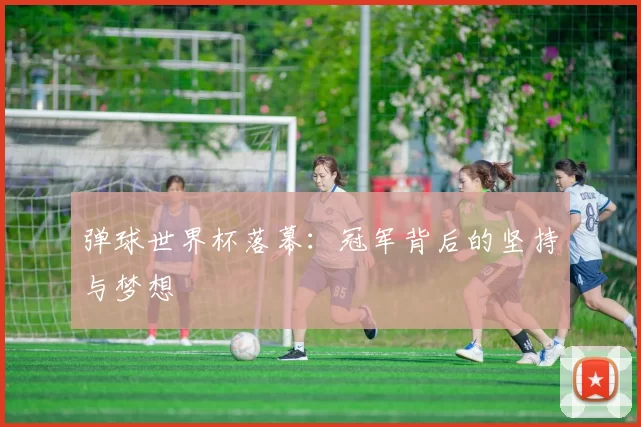 弹球世界杯落幕:冠军背后的坚持与梦想