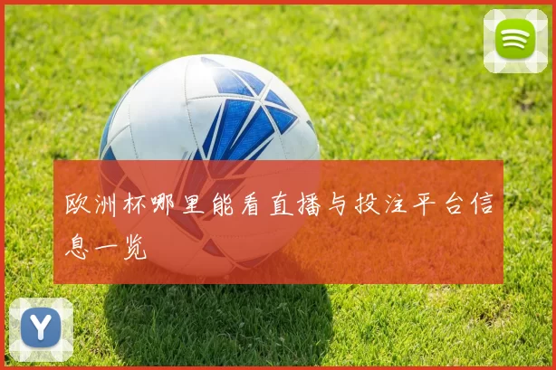 欧洲杯哪里能看直播与投注平台信息一览