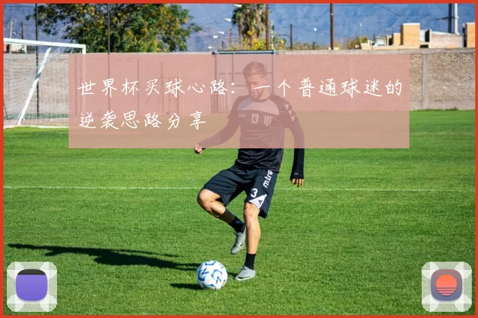 世界杯买球心路：一个普通球迷的逆袭思路分享