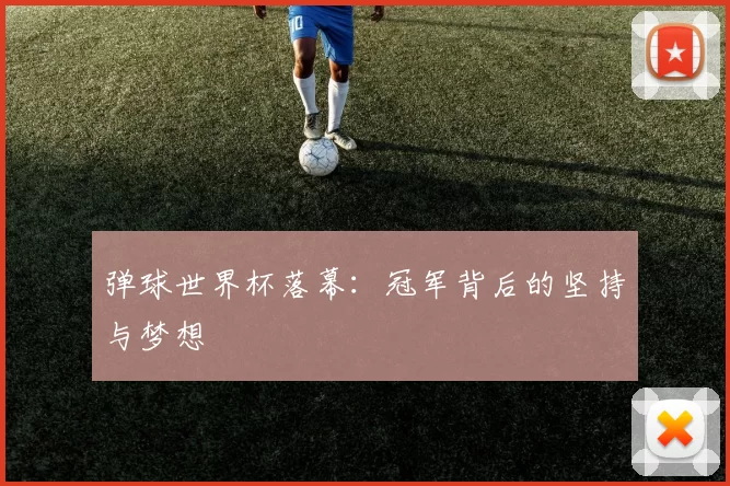 弹球世界杯落幕:冠军背后的坚持与梦想