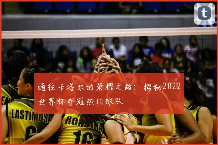 通往卡塔尔的荣耀之路：揭秘2022世界杯夺冠热门球队