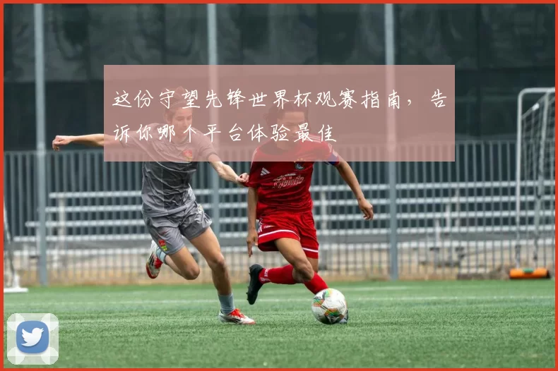 这份守望先锋世界杯观赛指南，告诉你哪个平台体验最佳