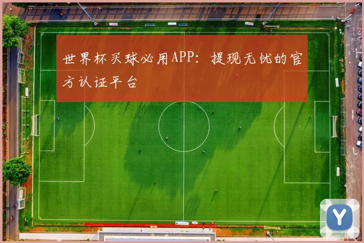 世界杯买球必用APP：提现无忧的官方认证平台
